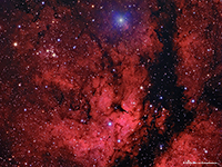 IC 1318 Butterfly Nebula